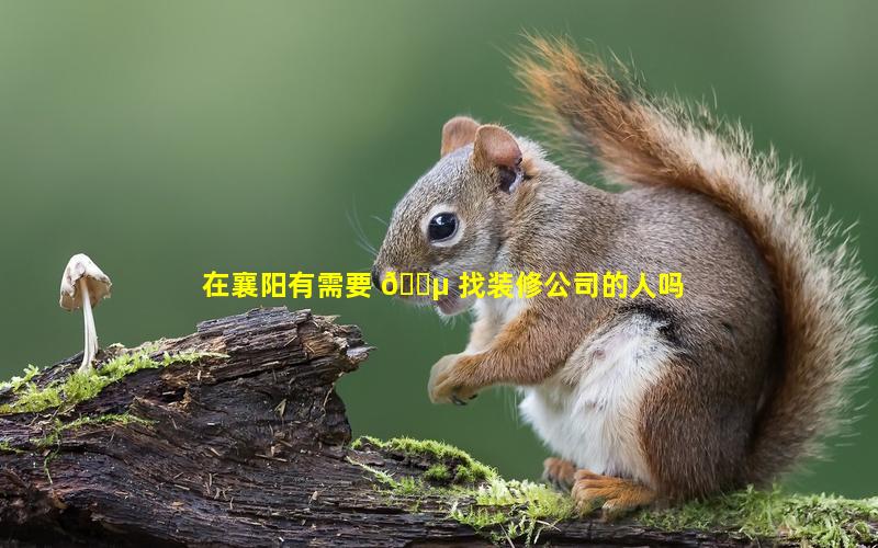 在襄阳有需要 🐵 找装修公司的人吗